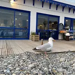 Maison A 400m De La Plage, Terrasse & Garage Prive 別荘 メール・レ・バン